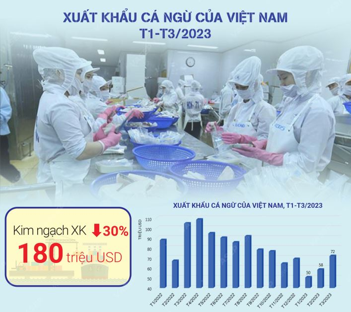 Seafood Media Group Worldnews Tuna exports down 30 in the first